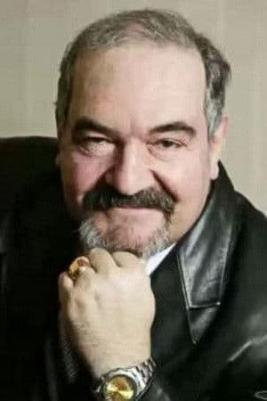 Владислав Метелица