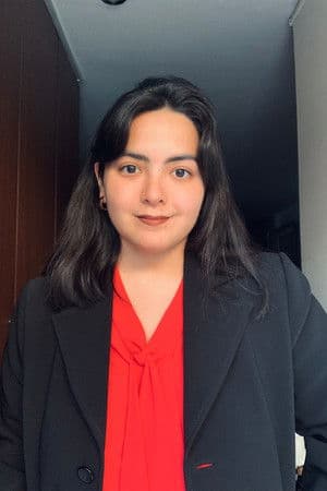 Ariana Andrade Castro