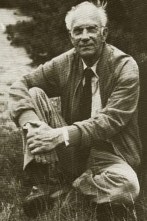 Jan Willem van den Berg