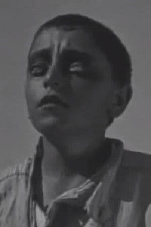 ვლადიმერ ჭიაურელი