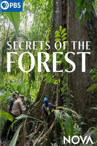 Secrets of the Forest