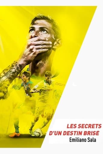 Emiliano Sala, les secrets d'un destin brisé