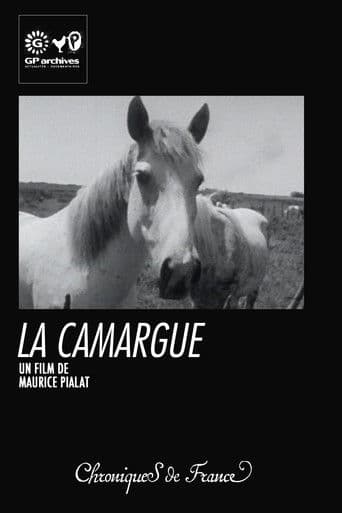 La Camargue