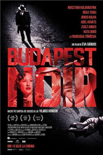 Budapest Noir