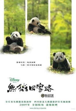 熊猫回家路