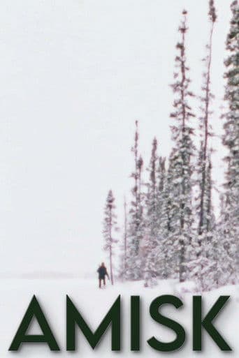 Amisk