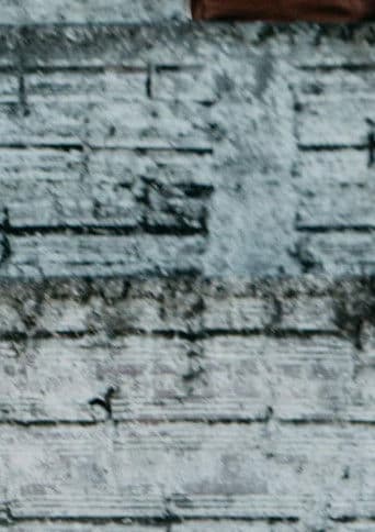 Das Cinzas às Cinzas