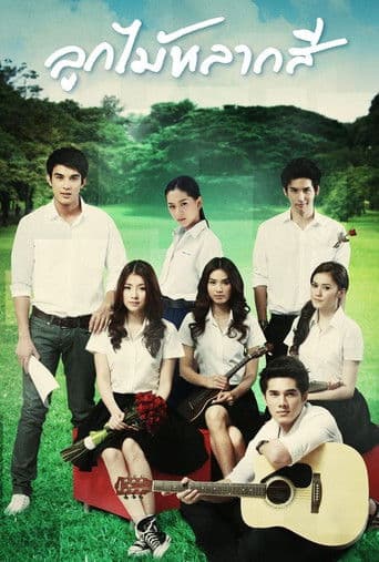 ลูกไม้หลากสี