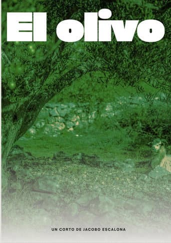 EL OLIVO
