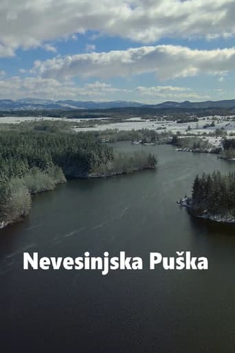 Nevesinjska puška