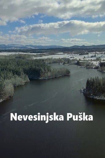 Nevesinjska puška