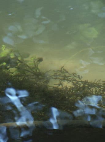 Un Film long comme une larme