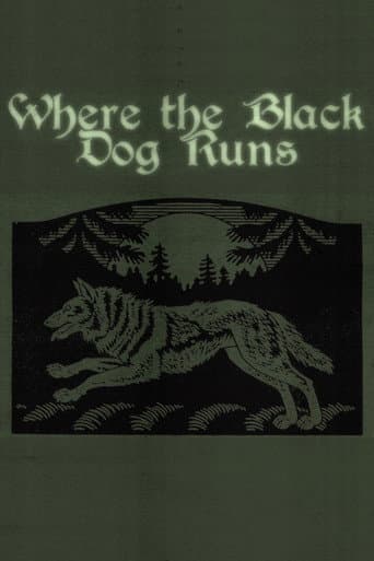 Where the Black Dog Runs