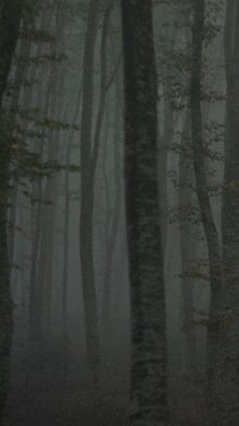 Καταφύγιο II: Το μονοπάτι του πάγου