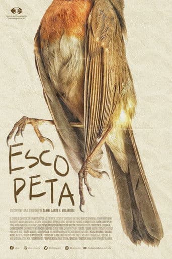 Escopeta