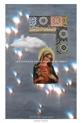 Les oiseaux vont mourir au Pérou