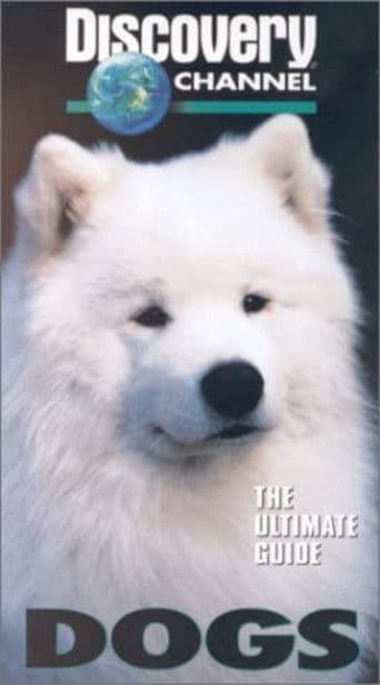 The Ultimate Guide - Dogs