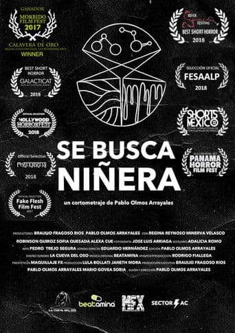 Se Busca Niñera