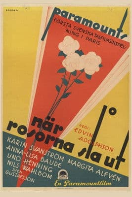 När rosorna slå ut