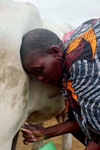 La sombra del Baobab