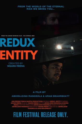 Redux entity