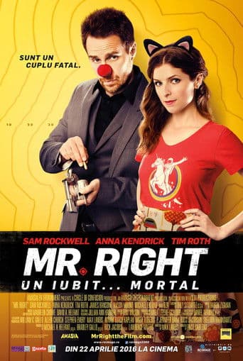Mr. Right. Un iubit... mortal