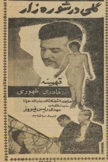 گلی در شوره‌زار