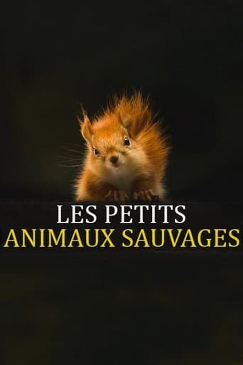 Les Petits Animaux Sauvages