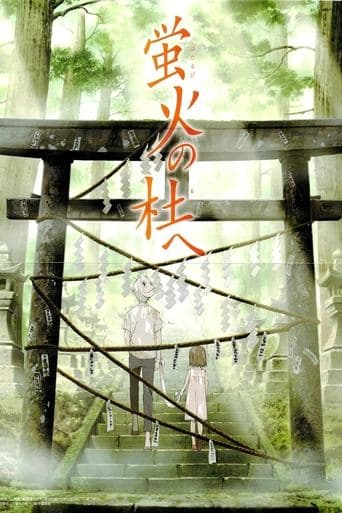 Into the forest of firefly light