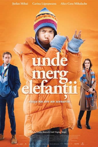 Unde merg elefanții