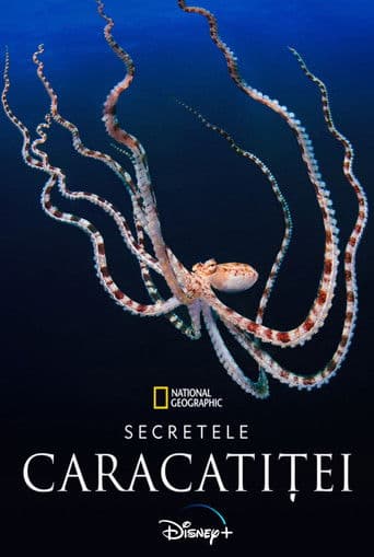 Secretele caracatiței