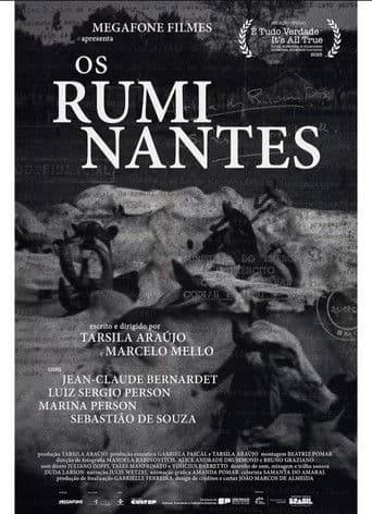 Os Ruminantes