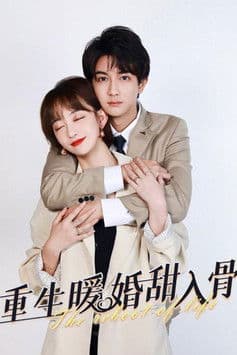 重生暖婚甜入骨