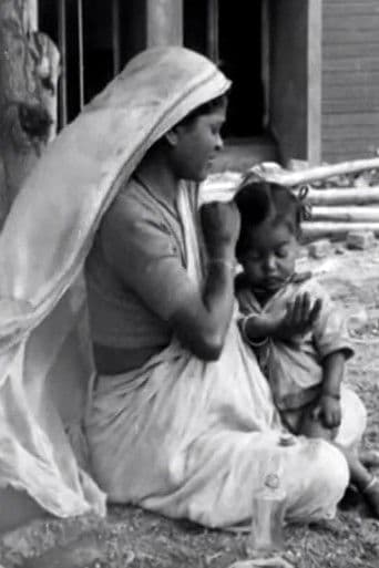 A Day with the Builders