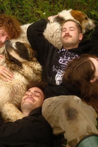 Tierbrücke - Jede Seele braucht ein Zuhause