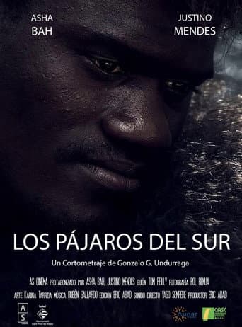 Los Pájaros del Sur