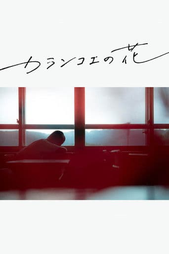 カランコエの花