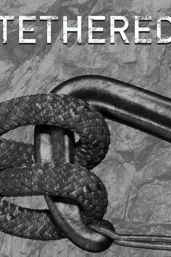 Conectați în sălbăticie