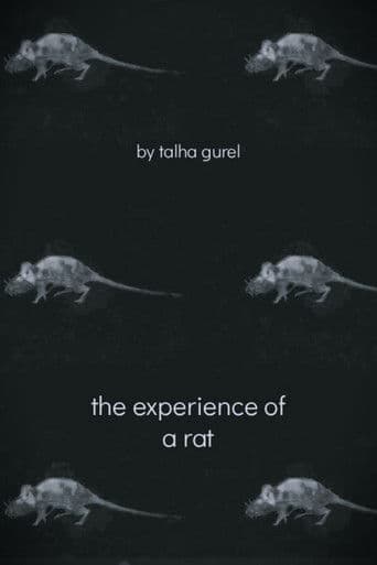 The Experience of a Rat