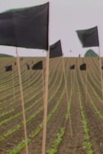 Und die Galaxien hörten