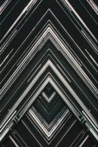 SAKANAQUARIUM 2015-2016 "NF Records launch tour" -LIVE at NIPPON BUDOKAN 2015.10.27-