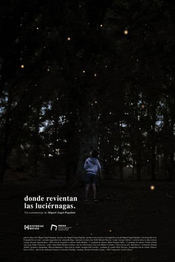Donde revientan las luciérnagas