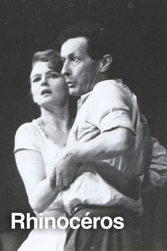 Rhinocéros