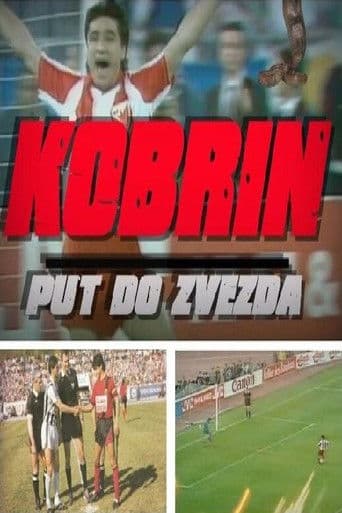Kobrin put do zvezda