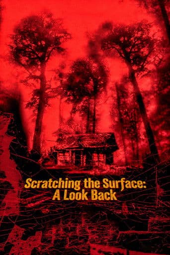 Scratching the Surface: A Look Back