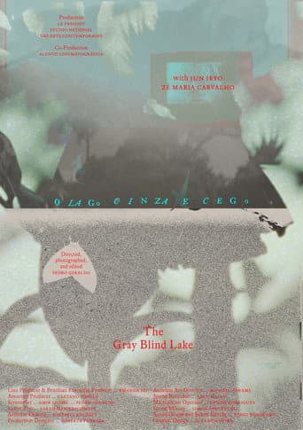 O lago cinza e cego