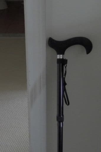 From This Day Forward