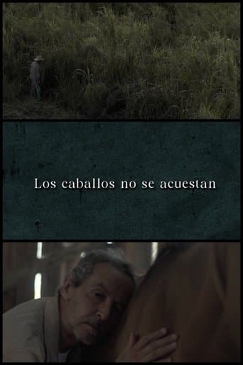 Los caballos no se acuestan