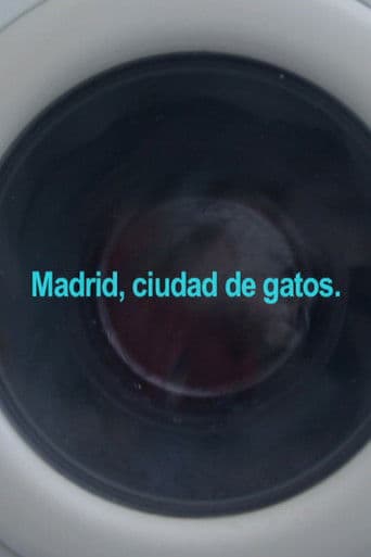 Madrid, ciudad de gatos