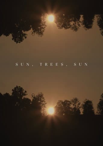 Sun, Trees, Sun
